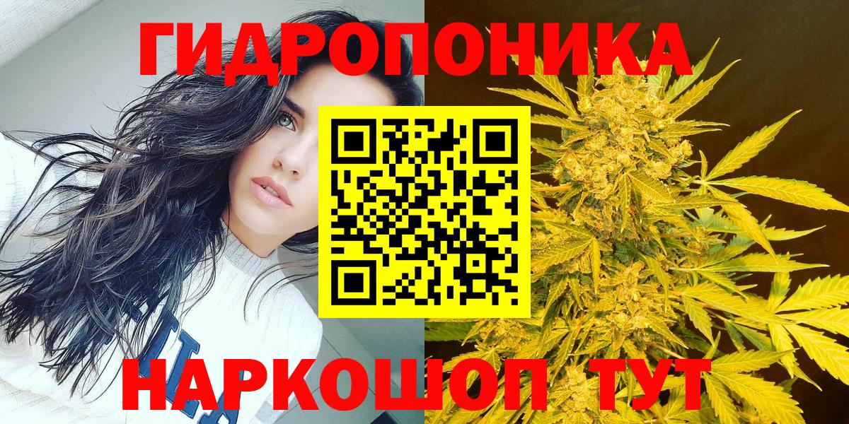 Мирный  Бошки Шишки планчик  Бошки Шишки White Widow  Вход с VPN 